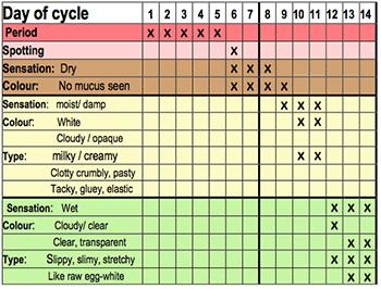 Mucus Cycle Chart