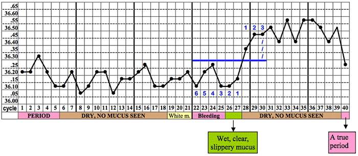 Menstrual Cycle Temperature Chart