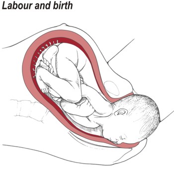 Labour and birth.