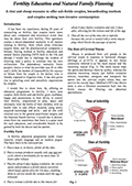 Articles Thumbnail of article.