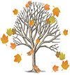 Autumn Tree A tree with brown leaves falling from it.
