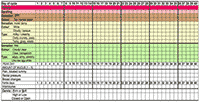 Blank Chart (detail) Part of the blank chart document.