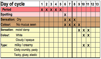 Chart Showing the dry time of the cycle.