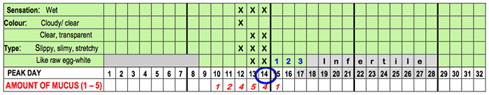 Mucus Chart Chart showing the amount of mucus for each day of the cycle. On this example chart the readings begin with a level of 1 on day 10, increase to 2 on day 11, 4 on day 12, 5 on day 13. The level drops slightly to 4 on day 14 and then back to 1 on day 15.