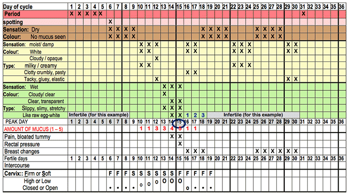 Second part of the example chart. Second part of the chart showing all of the non-temperature indicators over the month (where applicable): mucus characteristics, cervix characteristics, breast changes and others previously described.