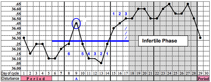 Example Chart An example chart showing the Infertile Phase.