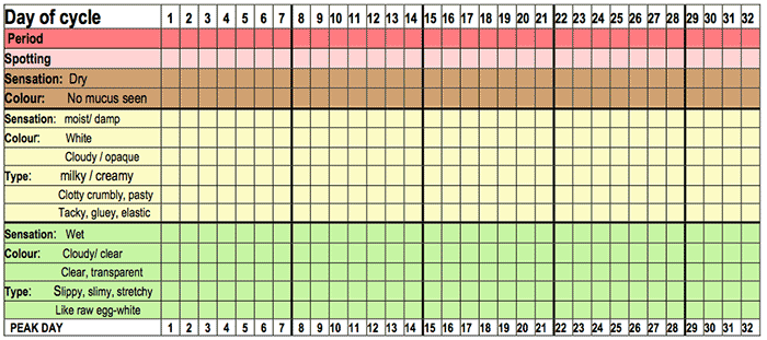 Mucus Chart Chart comparing the different stages of mucus across the days of the cycle, as per the descriptions on the previous page.